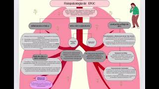 Fisiopatologia de la EPOC [upl. by Letnahs]