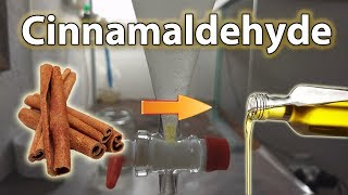 Cinnalmaldehyde Extraction  Cinnamon Oil from Bark with Steam Distillation [upl. by Refinney]