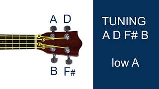 Uke basic ADFB tuning low a [upl. by Aihsa]