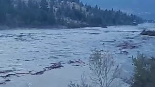 Lillooet Now Chilcoltin River Slide Debris Flows in Fraser River [upl. by Olivann386]