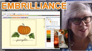Mastering Embrilliance How To Easily Change A Purchased Design For Beginners [upl. by Wooldridge183]