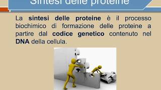 proteine o protidi [upl. by Dame]