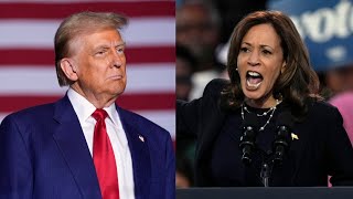 Kamala Harris using insults to try to ‘denigrate’ Donald Trump [upl. by Adnwahsal322]