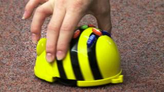 BeeBot® Programmable Floor Robot from TTS Group [upl. by Ahsirkal164]