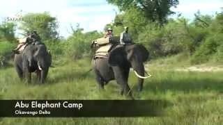 Abu Camp  Safari Lifestyles [upl. by Aon]