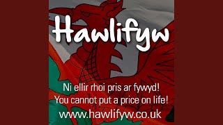 Hawl i Fyw [upl. by Nysa]