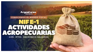 NIF E1 Actividades Agropecuarias CONOCIENDO EL MUNDO FISCAL [upl. by Busey654]