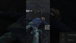 Зачем я это предложил frostline dayz dayzclips [upl. by Bidget]