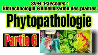 Phytopathologie  Partie 6 Terminologie Liée aux agents pathogènes [upl. by Greenwell816]