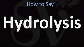 How to Pronounce Hydrolysis CORRECTLY [upl. by Nichol]