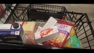 Meijer Shopping Haul [upl. by Fredericka884]