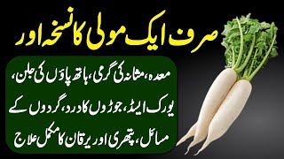 Radish Benefits Moli K Fayde For Uric Acid Kidney Weight Loss And Diabetes Treatment Urdu Hindi [upl. by Assilanna]