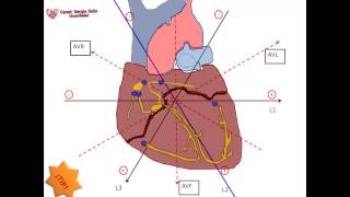 2La forma mas sencilla de sacar eje cardiaco Ordenando el Triangulo de Einthoven [upl. by Dorena]