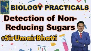 Biochemical Test For the Detection of Non Reducing Sugars  FSc Biology Practical  SirUmairBhatti [upl. by Wittie]