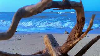 Relaxing Ocean Waves Crashing on the Beach  Relaxing Sounds of Nature  4K UHD Relaxing Nature [upl. by Aleehs]