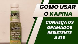 Kapina como utilizar e quais os gramados resistente a ele [upl. by Dniren]