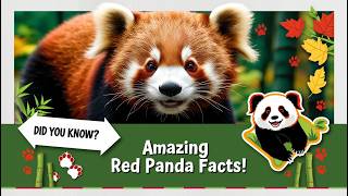 Red Pandas facts Diet Conservation and Endangered Status Explained Red Pandas Endangered Species [upl. by Annaer892]