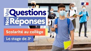 Tout ce quil faut savoir sur le stage de 3e VosQuestionsNosRéponses [upl. by Allix948]