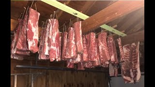 How to Dry Cure and Smoke meat All in one video [upl. by Ennavoj788]