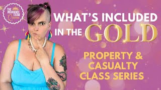 What is Included in the Gold Property and Casualty Class Series [upl. by Bacchus]