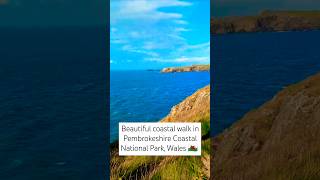 Beautiful coastal walk in pembrokeshire nationalpark wales [upl. by Morena]