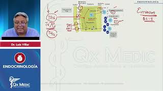 RM 2024 Endocrino 1 Hipotiroidismo Hipertiroidismo tiroiditis nódulo tiroideo Eutiroieo enfermo [upl. by Eiblehs]