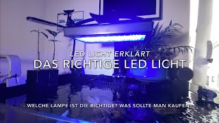 Die Richtige LED für Meerwasser Aquarien Welche Beleuchtung Lampe ist die Beste So geht es richtig [upl. by Ahsiad]