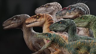 The Evolution of The Velociraptor Jurassic Park  Jurassic World [upl. by Parhe180]