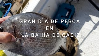 GRAN DIA DE PESCA EN LA BAHIA DE CADIZ [upl. by Ecaroh]