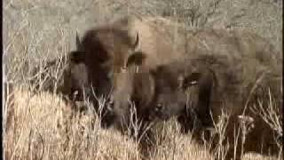 Geary County KS [upl. by Bobker]