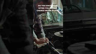 Changing Spark Plugs How Often and HowToshorts carmaintenance automobile [upl. by Graubert]