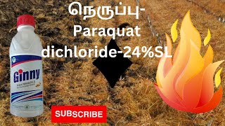 Paraquat Dichloride24SL அனைத்து களைகளின் எதிரி [upl. by Jeniffer]