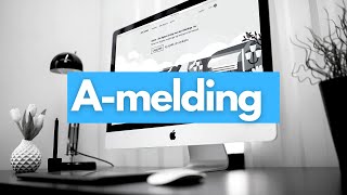 Dette må du vite om Amelding [upl. by Namrej]