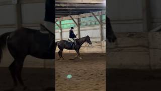 From last night  horse pony ponylover fall equestrian englishriding [upl. by Hsaka]