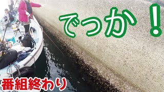 堤防の外側から釣りをするだけで461話目 [upl. by Egreog]