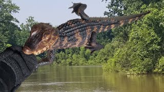 Cuviers Dwarf Caiman Bite Training How and Why I do it [upl. by Yul]