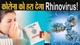 coronavirus कोरोना को हरा देगा Rhinovirus  शोध पत्रिका जर्नल ऑफ इन्फेक्शस डिजीज में प्रकाशित [upl. by Anastasia]