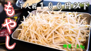 【安い・簡単・低糖質】１人前１００円以下！「ねぎともやしの卵とじ」の作り方 [upl. by Obidiah73]