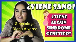 ⚠¿Cómo saber si viene SANO PRUEBAS de DETECCION de SINDROMES GENETICOS  GINECOLOGA DIANA ALVAREZ [upl. by Mcnelly]