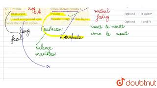 Which of the following are correctly matched  I quotTrophallaxisquot   quotInsect colonyquot [upl. by Tennies]