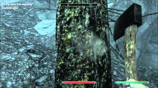 Skyrim  Dynamic Things v135 Landscape Overhaul Firewood [upl. by Kyriako]