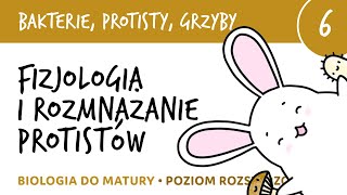 Fizjologia i rozmnażanie protistów koniugacja osmoregulacja  biologia do matury liceum [upl. by Waynant578]