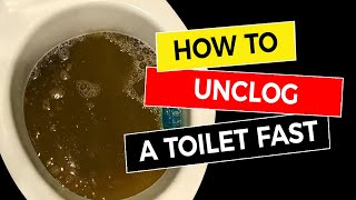 How to Unclog a Toilet Fast 🚽 [upl. by Durrell]