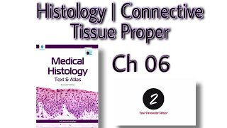 Connective Tissue Proper  Chapter 06  Histology  Laiq Hussain Markings amp Imp Questions [upl. by Serolod]