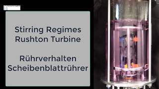 Rushton Turbine in a glass fermentor going through its paces [upl. by Artiek]