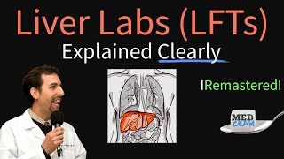 Liver Function Test Interpretation LFTs  Liver Enzymes Remastered Bilirubin GGT Alk Phos [upl. by Lait]