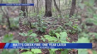 The Matts Creek wildfire One year later [upl. by Rodoeht]