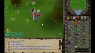 RuneScape  3 Hit U  Unlimited Tree Spirits [upl. by Llener184]