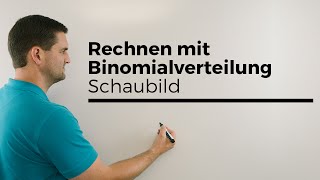 Rechnen mit Binomialverteilung anhand vom Schaubild Stochastik Wahrscheinlichkeit [upl. by Marmawke]