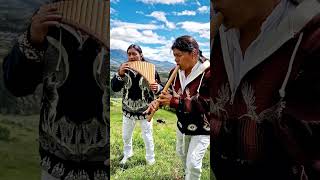 VOLVERE quenacho livemusic quena panflute zampoña livemusic [upl. by Hughett]